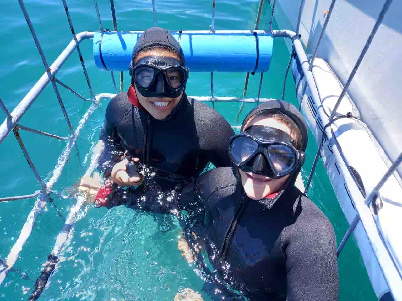 HOME 13 female divers smiling in shark cage