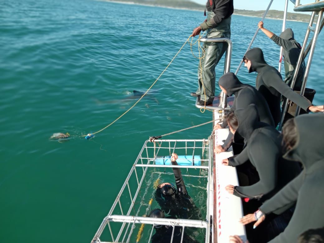 Your Trip 2 IMG 20230803 WA0002