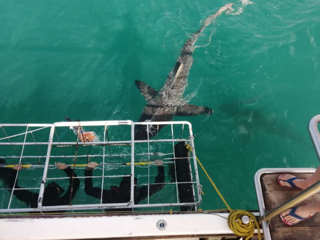 Your Trip 4 f03904ea 60b1 4b22 8127 36d4d2ba585a