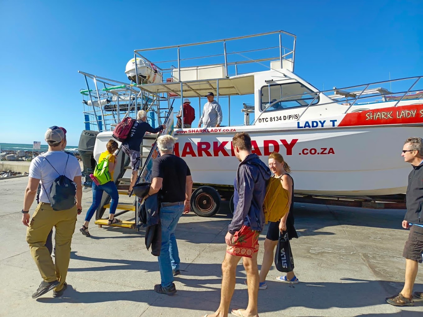 cage diving bookings