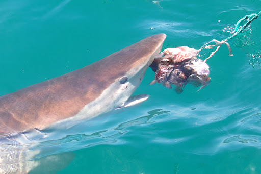 HOME 21 Photo from customer review