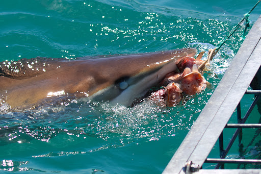 HOME 22 Photo from customer review