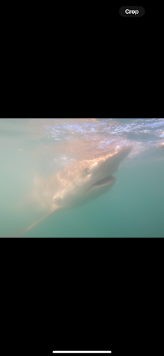 HOME 29 Photo from customer review