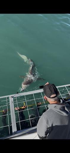 HOME 31 Photo from customer review