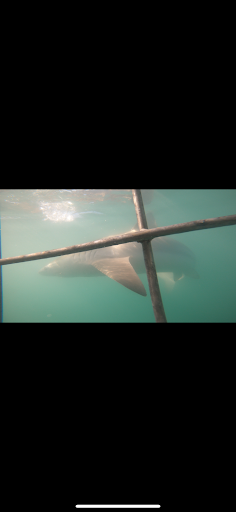 HOME 30 Photo from customer review