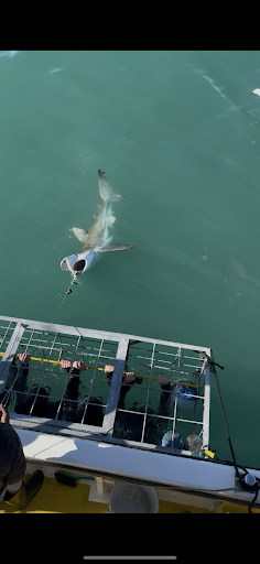 HOME 28 Photo from customer review