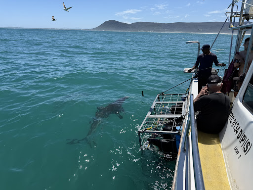 HOME 24 Photo from customer review