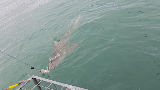 HOME 26 Photo from customer review