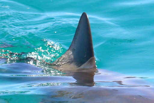 HOME 23 Photo from customer review