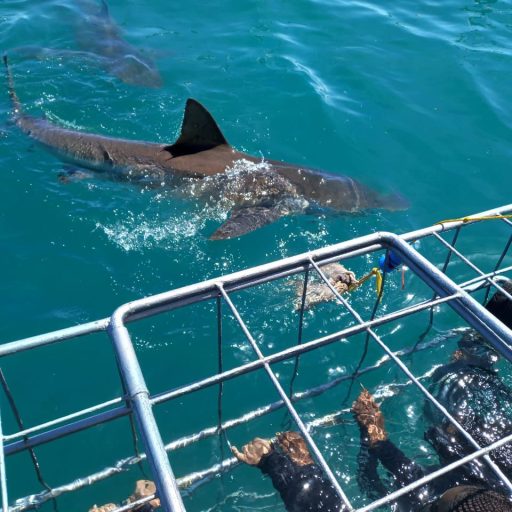 HOME 9 IMG-20250918-WA0010