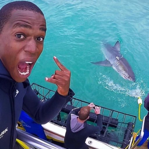 HOME 2 excited young south african shark cage diving